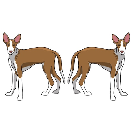 Signmission Ibizan Hound Dog Decal, Dog Lover Decor Vinyl Sticker D-18-Ibizan Hound